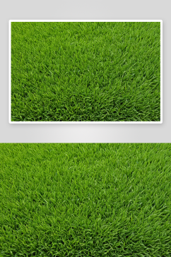 绿色草坪植物元素图片