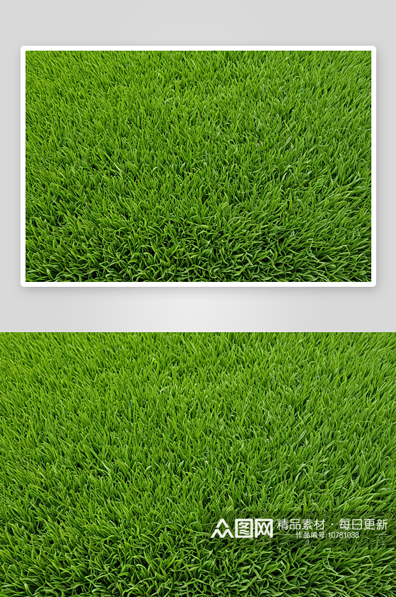 绿色草坪植物元素图片素材