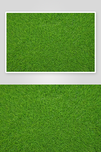 绿色草坪背景图片