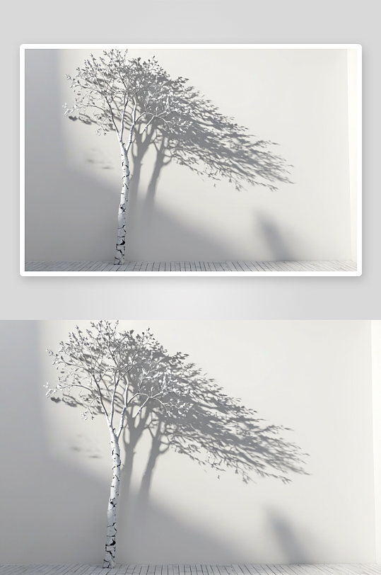 一棵树影子落白墙三维渲染图片