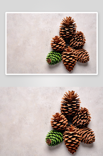 圣诞树自然球果彩色背景新概念拷贝空间图片