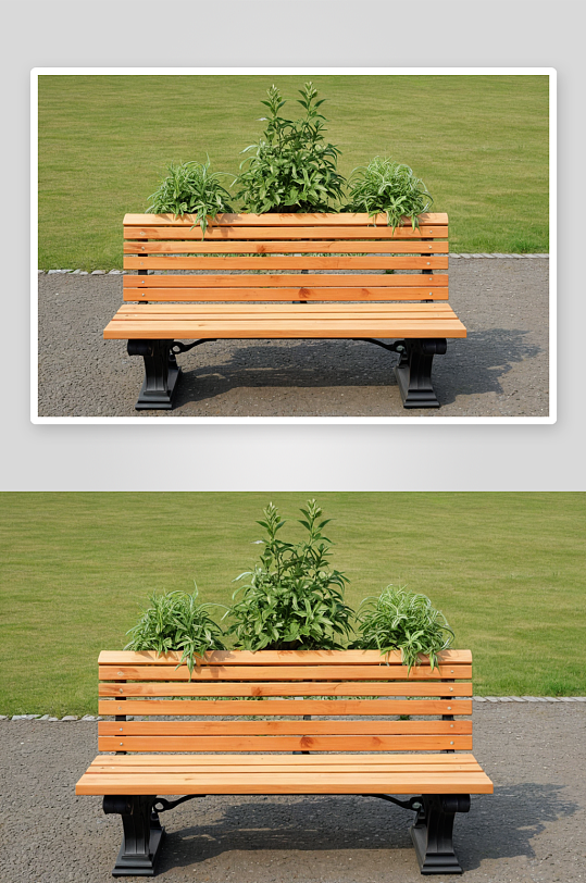 板凳植物元素图片