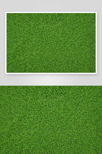 绿色草地纹理背景花园图片