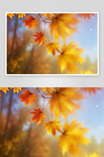 秋色散景背景质感图片