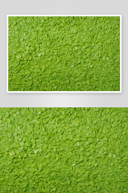 植物滋润合成背景春天绿色图片