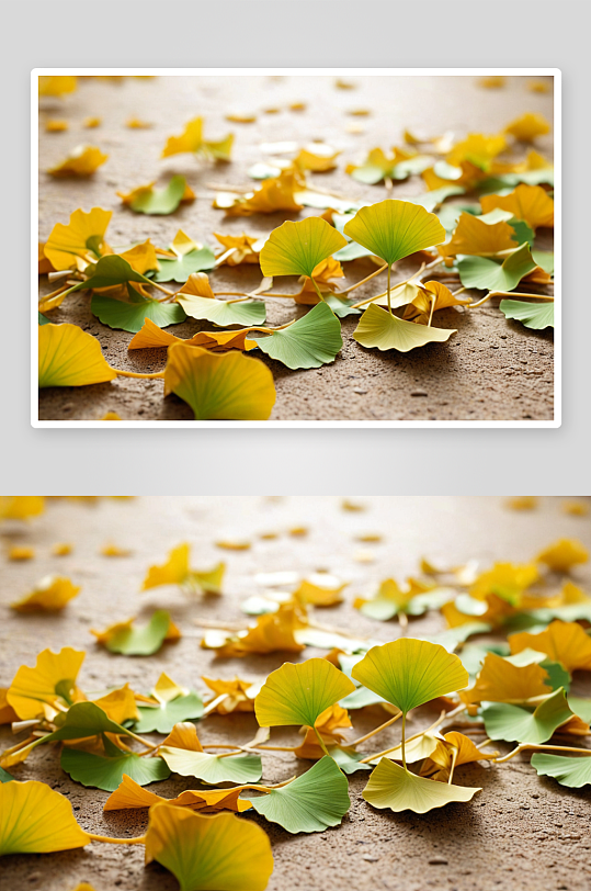 银杏树叶子覆盖了地面图片
