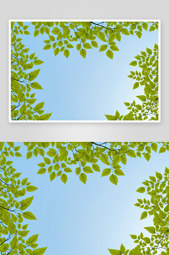 树叶围绕着天空背景中间留白框架构图图片