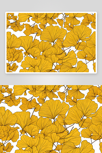秋天黄色树叶银杏叶图片