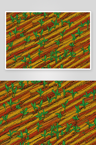 小玉米苗农用车辆痕迹图片