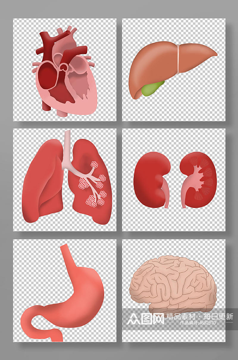 扁平化风格医疗人体器官元素插画素材