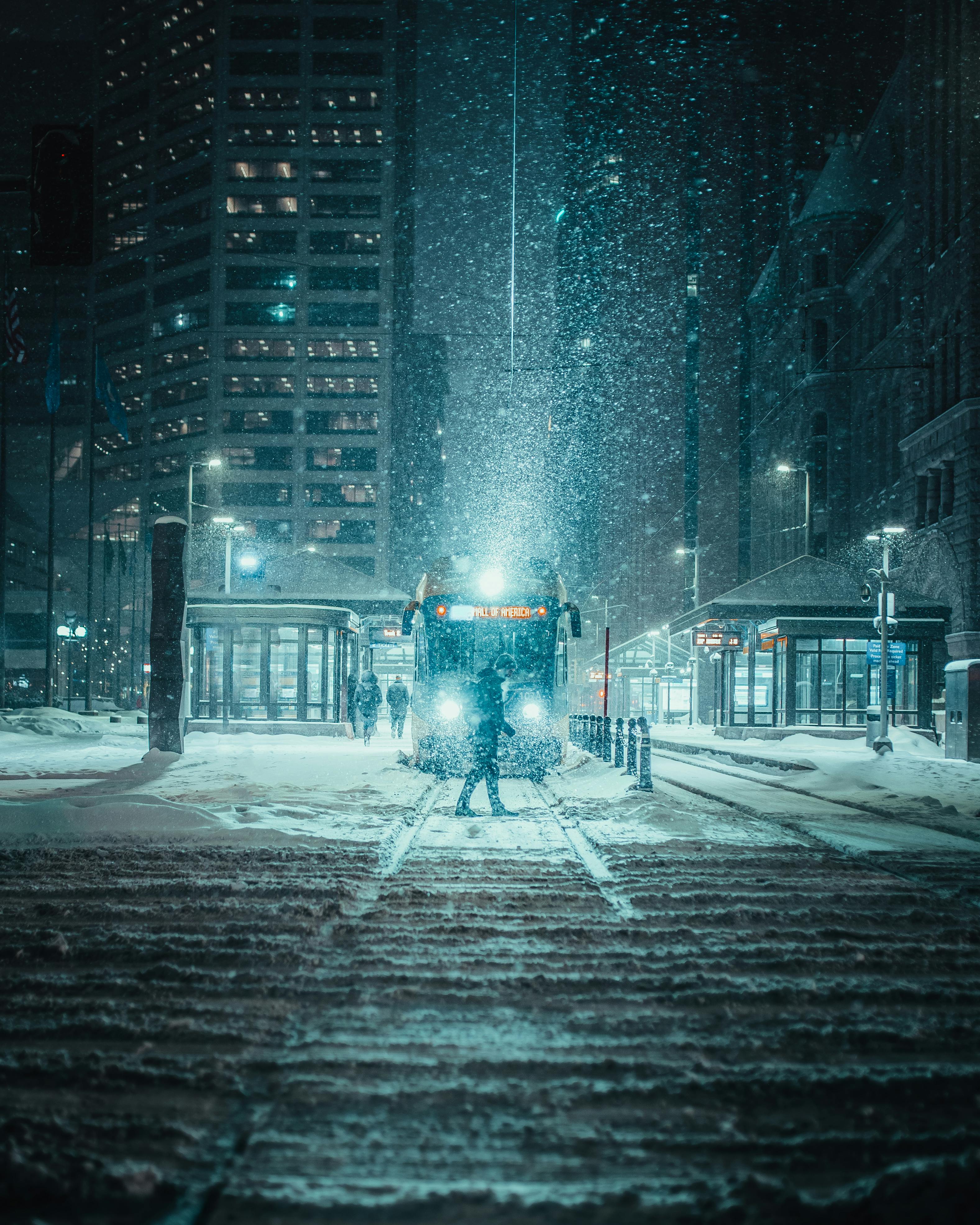 冬天飘雪森林雪景素材