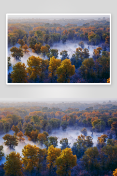 新疆草地森林两联摄影视觉图