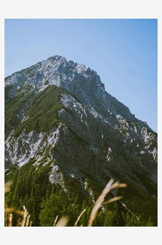 风景山川森林风景图