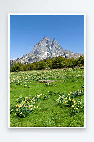 山川森林风景风景图