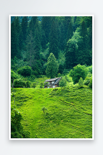 山川森林风景风景图