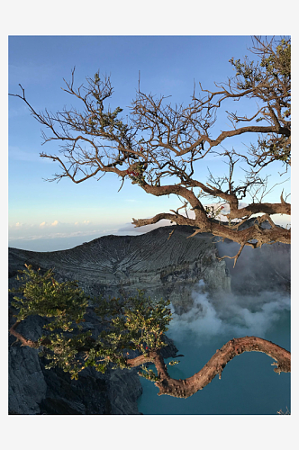 冰川山川森林风景图