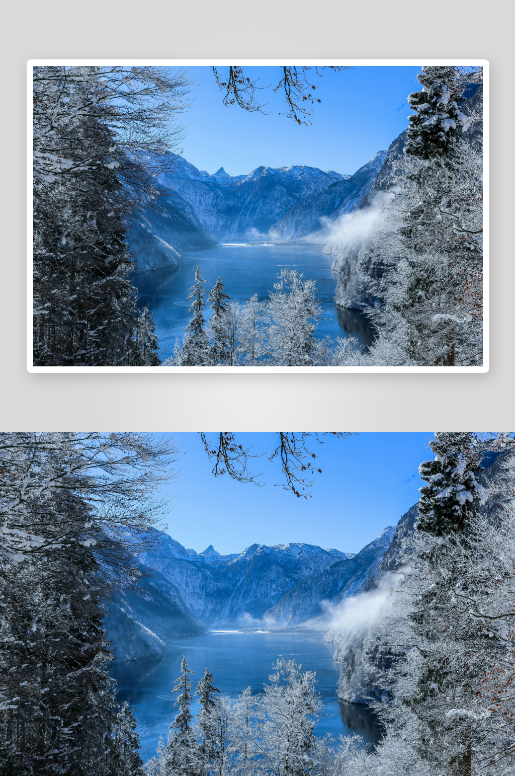 冬天飘雪森林雪景素材