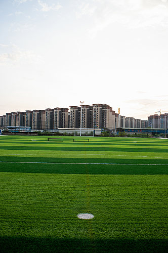 绿色草地对角白点足球场摄影图照片