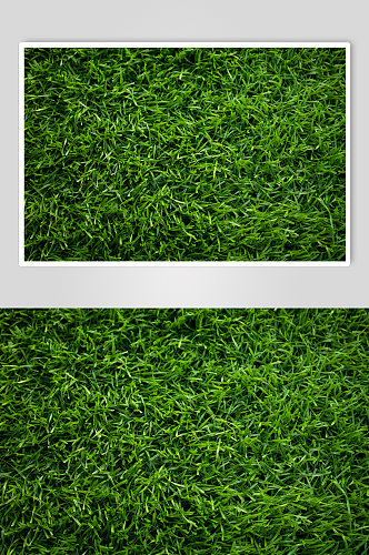 深绿色草坪草坪高清足球场草地空背景图摄影图照片