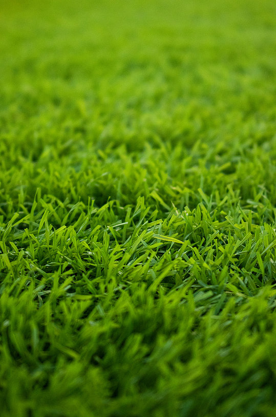 绿色高清足球场草地空背景图摄影图照片