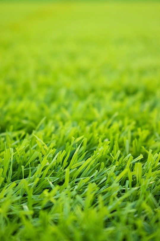 绿色高清足球场草地草坪空背景图摄影图照片