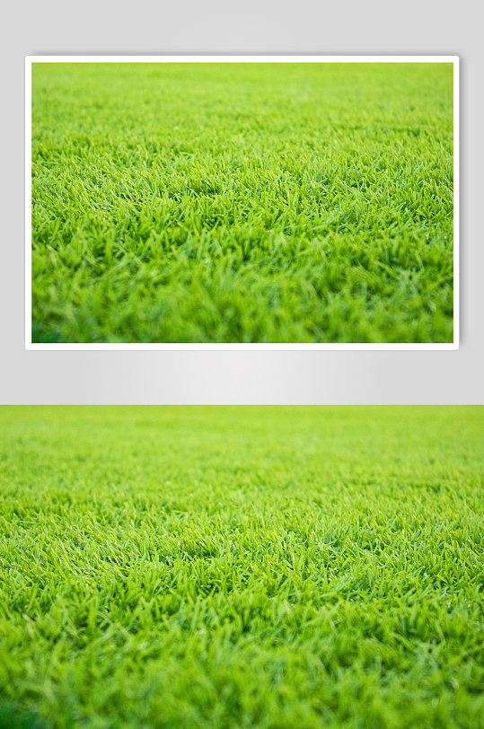 绿色高清草地草坪空背景图摄影图照片