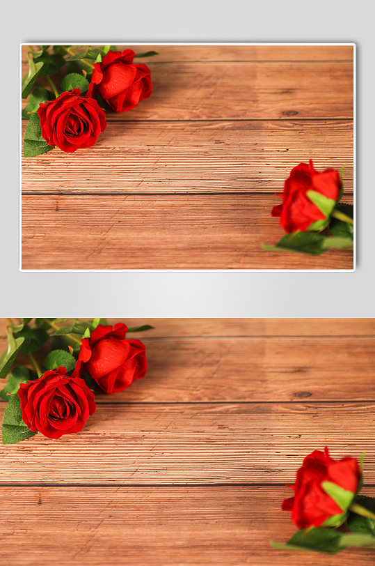 浪漫红玫瑰花情侣情人节摄影图片