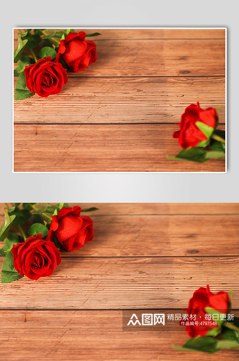 浪漫红玫瑰花情侣情人节摄影图片素材