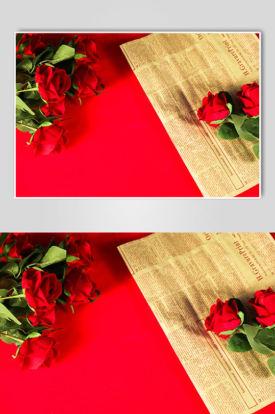 浪漫玫瑰花促销活动214情人节摄影图片