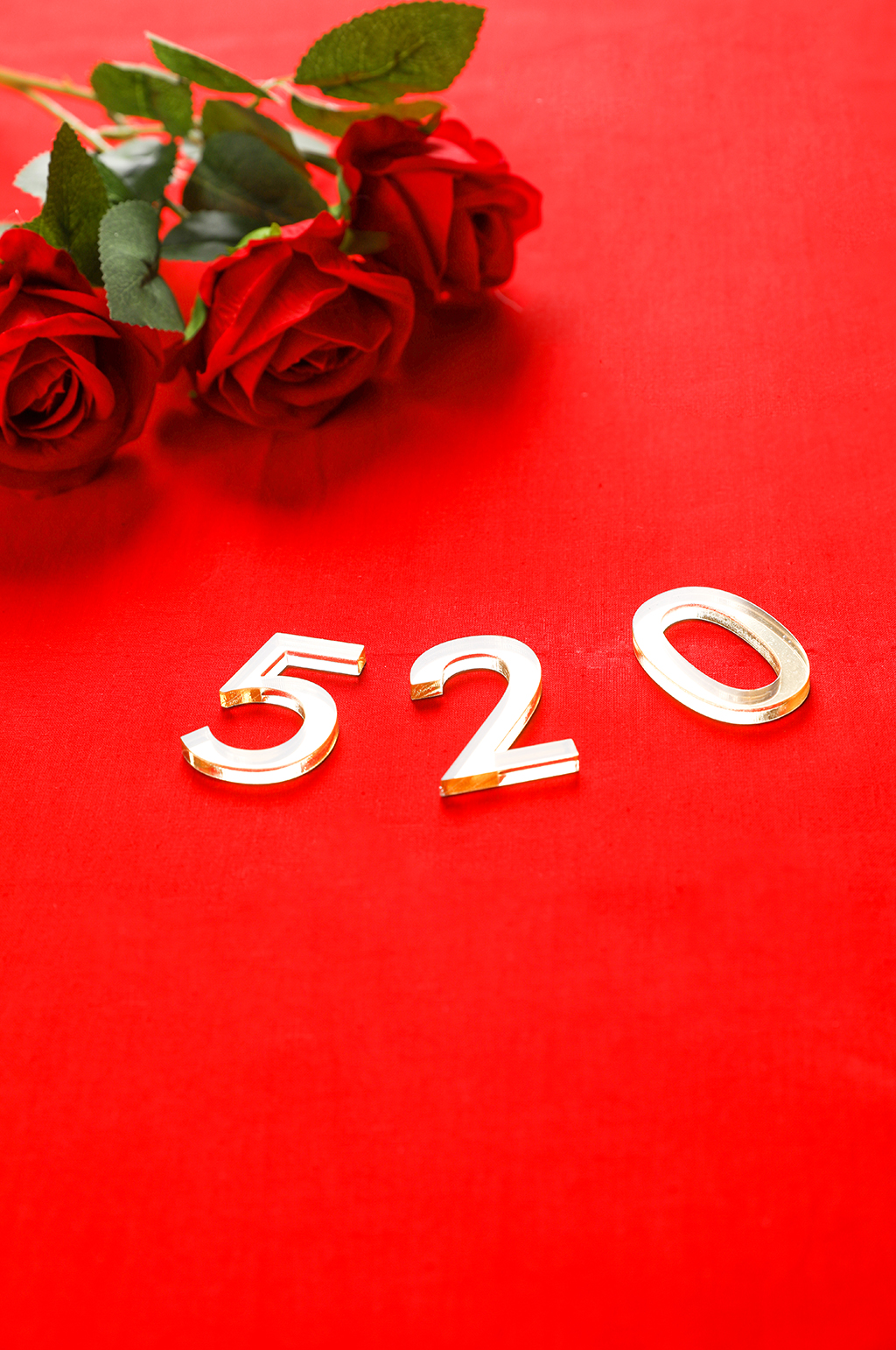 红色玫瑰花鲜花520情人节摄影图片素材