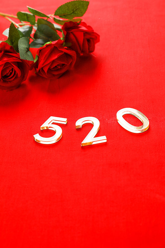 红色玫瑰花鲜花520情人节摄影图片