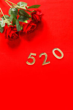 红色浪漫玫瑰花520促销情人节摄影图片