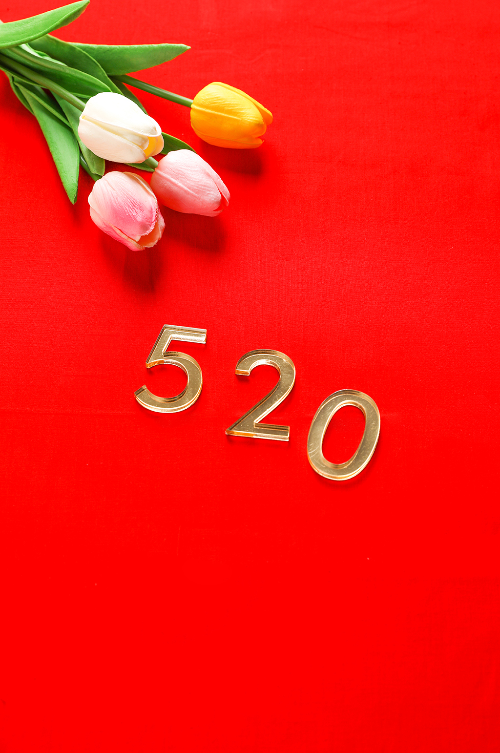 浪漫郁金香520情人节摄影图片素材