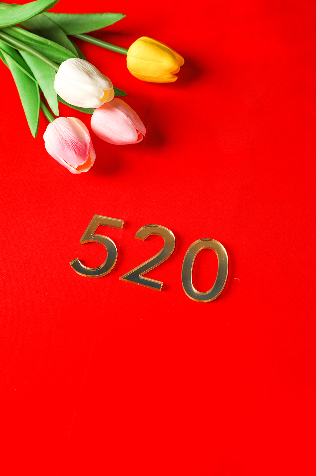 浪漫郁金香鲜花520情人节摄影图片素材