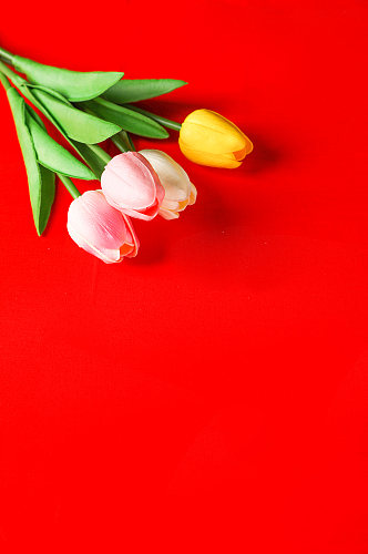 红色浪漫郁金香鲜花花束情人节摄影图片