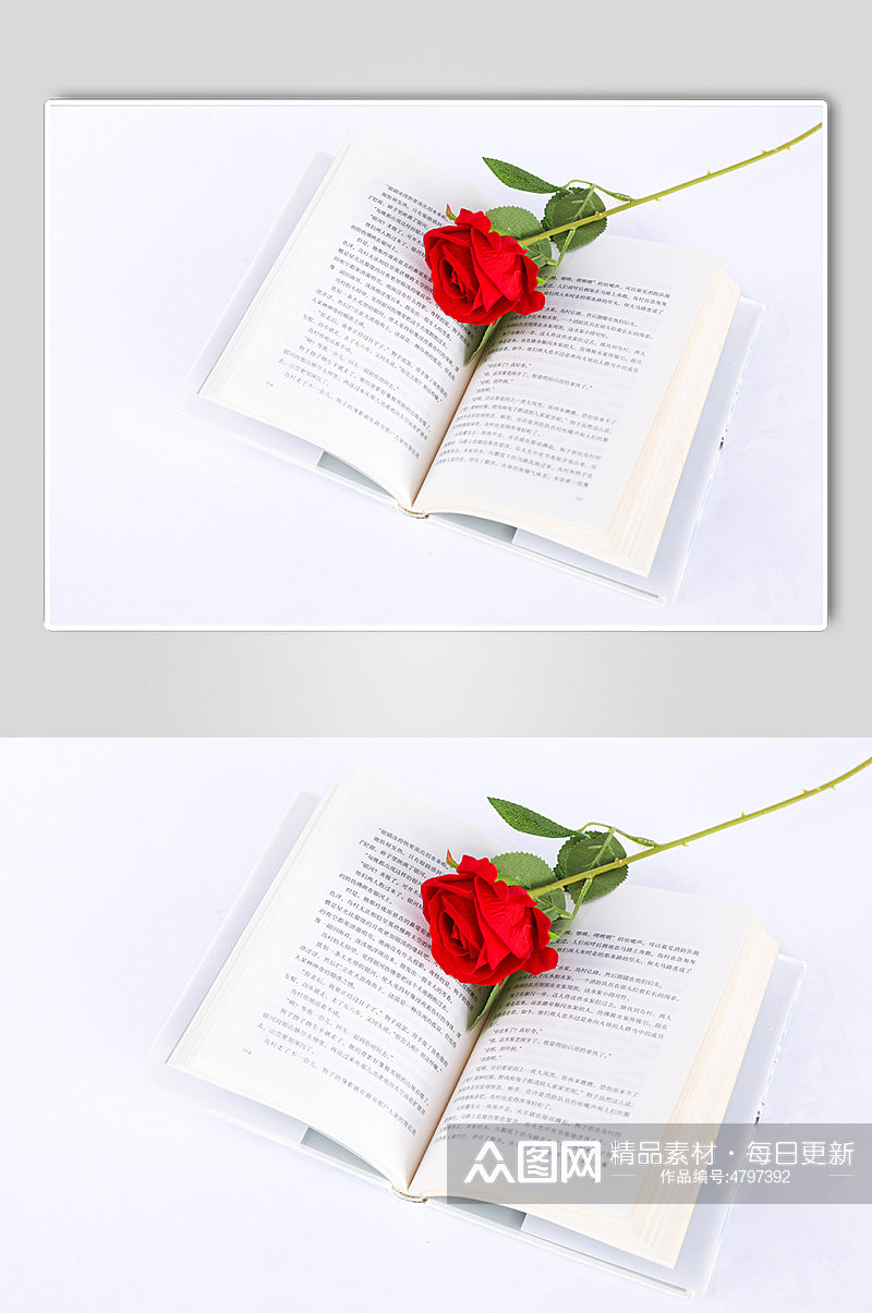 书本一枝玫瑰花束情人节摄影图片素材