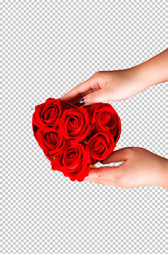 红色玫瑰礼盒情人节元素PNG免抠摄影图