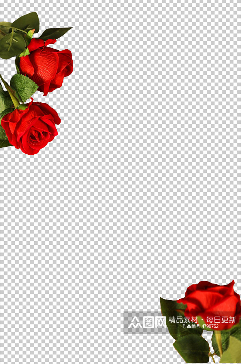 红玫瑰花情人节元素PNG免抠摄影图片素材