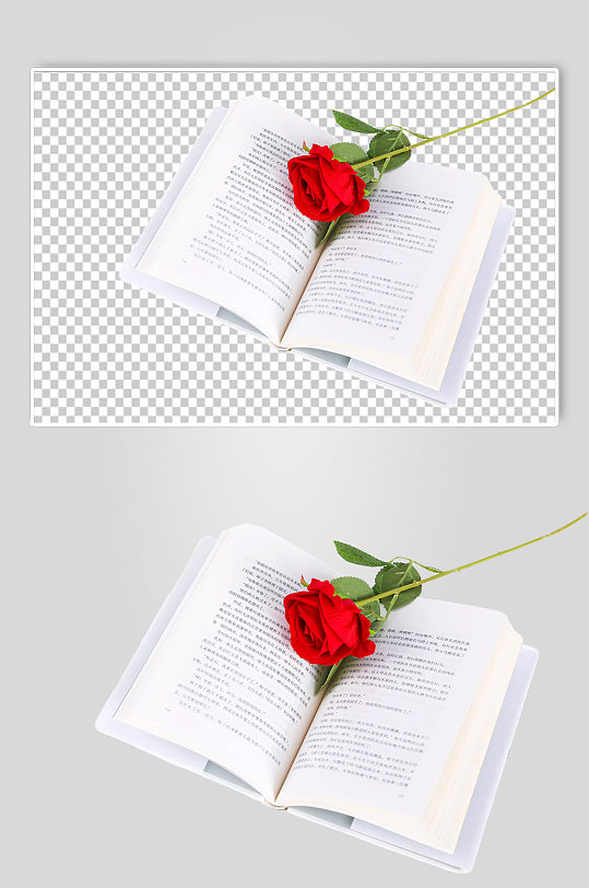 小清新书本玫瑰情人节元素PNG免抠摄影图