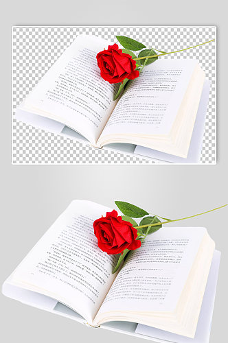 玫瑰花书本情人节元素PNG免抠摄影图