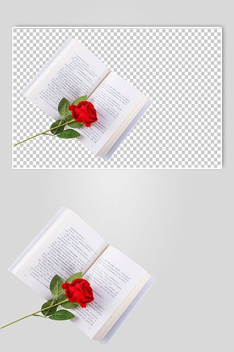 浪漫玫瑰花书本情人节元素PNG免抠摄影图