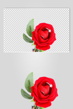 红色玫瑰花钻戒情人节元素PNG免抠摄影图