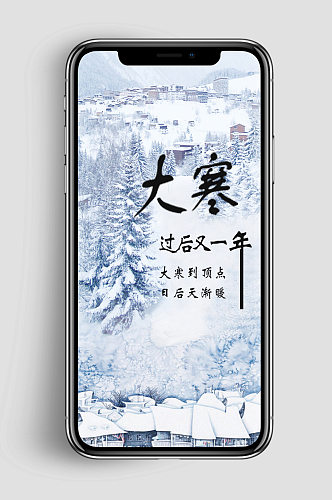 二十四节气之大寒手机app海报