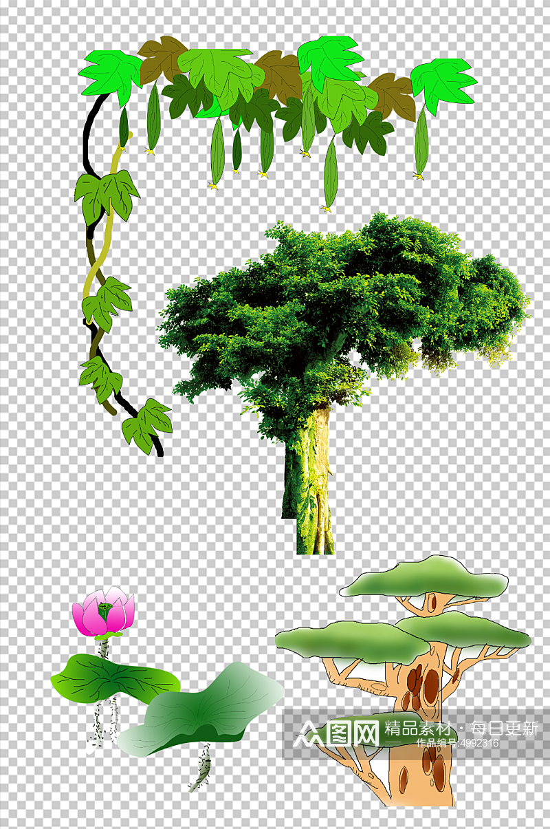 绿色植物树木手绘png素材素材