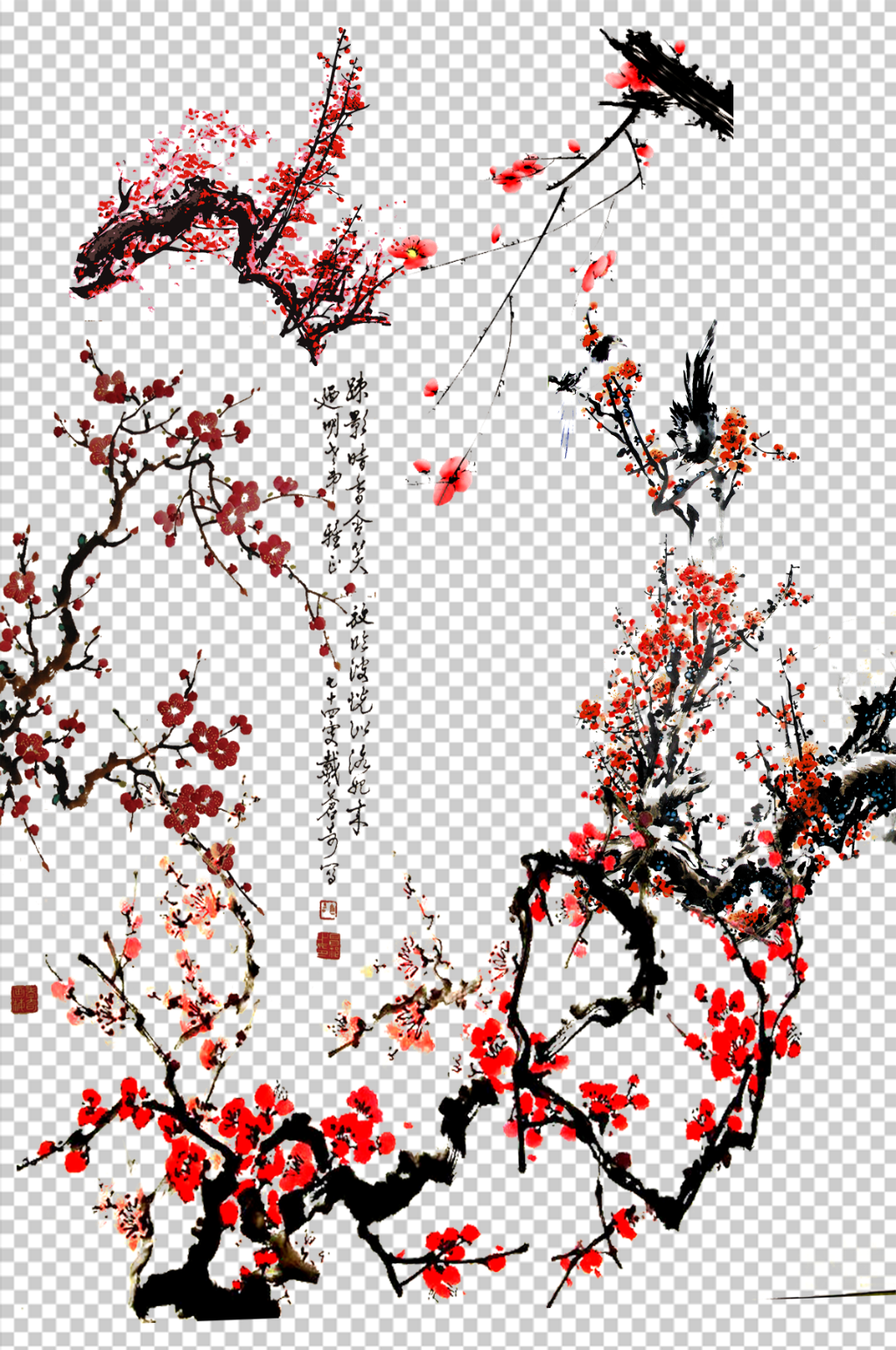 腊梅鲜花png素材素材