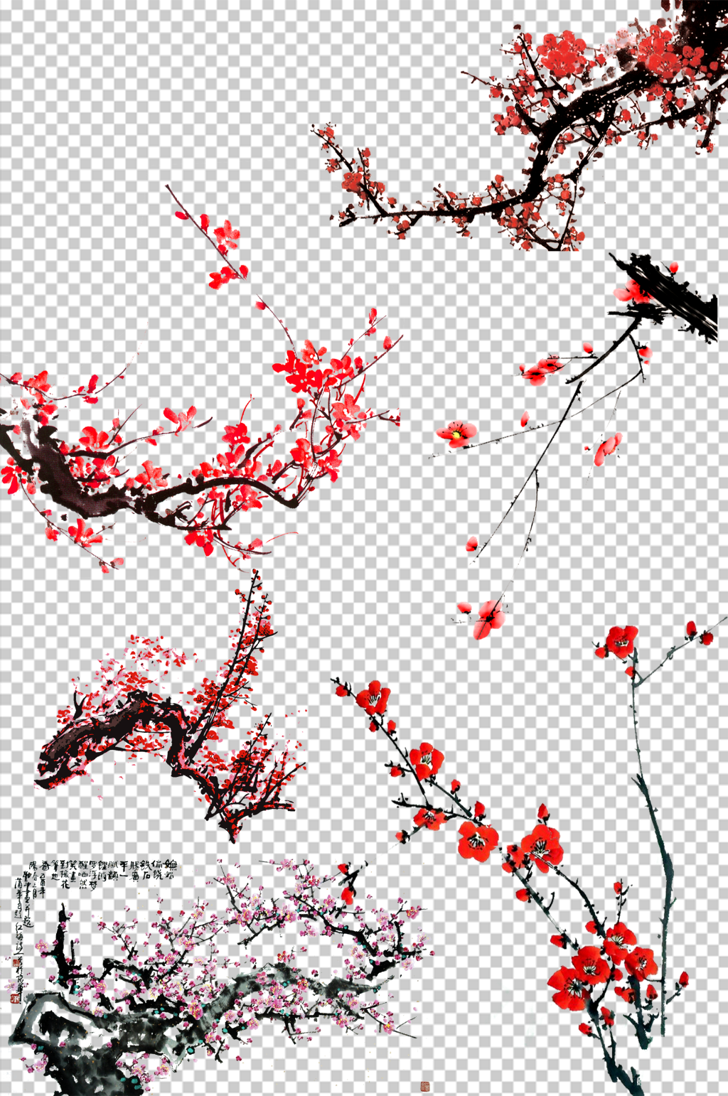 梅花花枝腊梅鲜花手绘素材