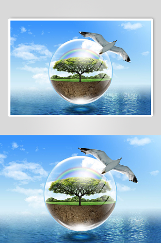 环境自然地球白鸽海报