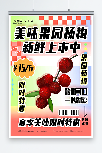彩色创意新鲜杨梅夏季水果果园促销海报