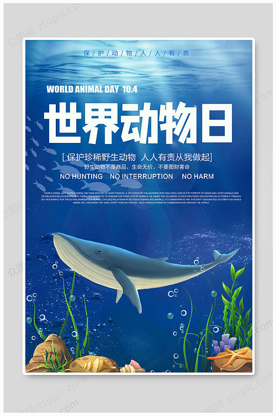 世界动物日保护野生动物海洋动物