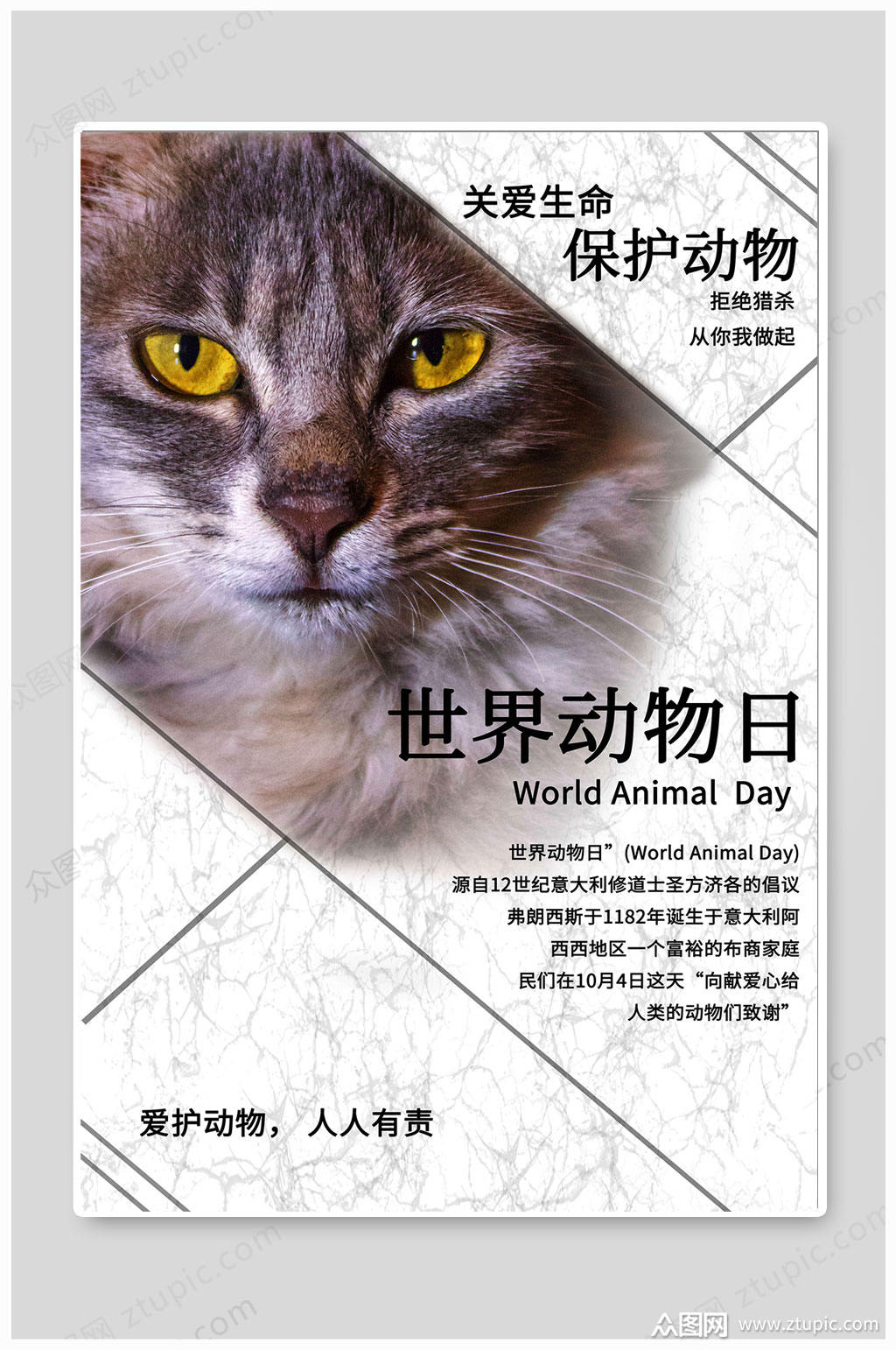 爱护动物人人有责素材